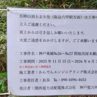 既に整備は進んでいたのかも。