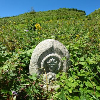 天狗原山のお地蔵さんのお花畑は、もう枯れだしてます。