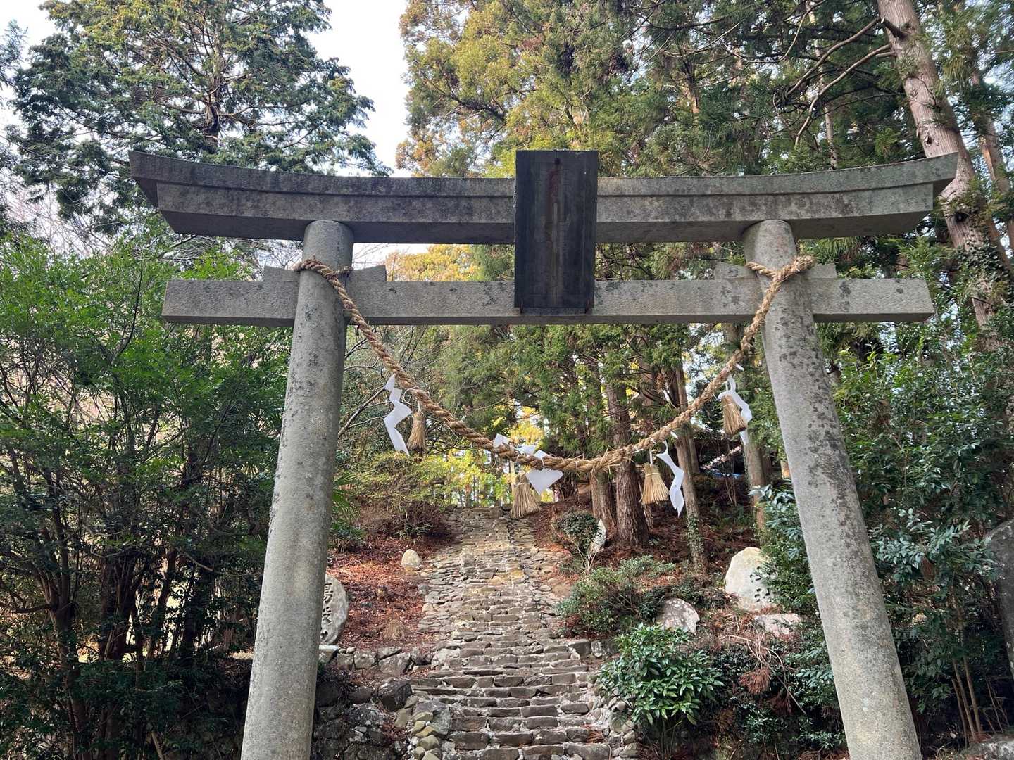 鳥越峠-深山 往復コースの写真