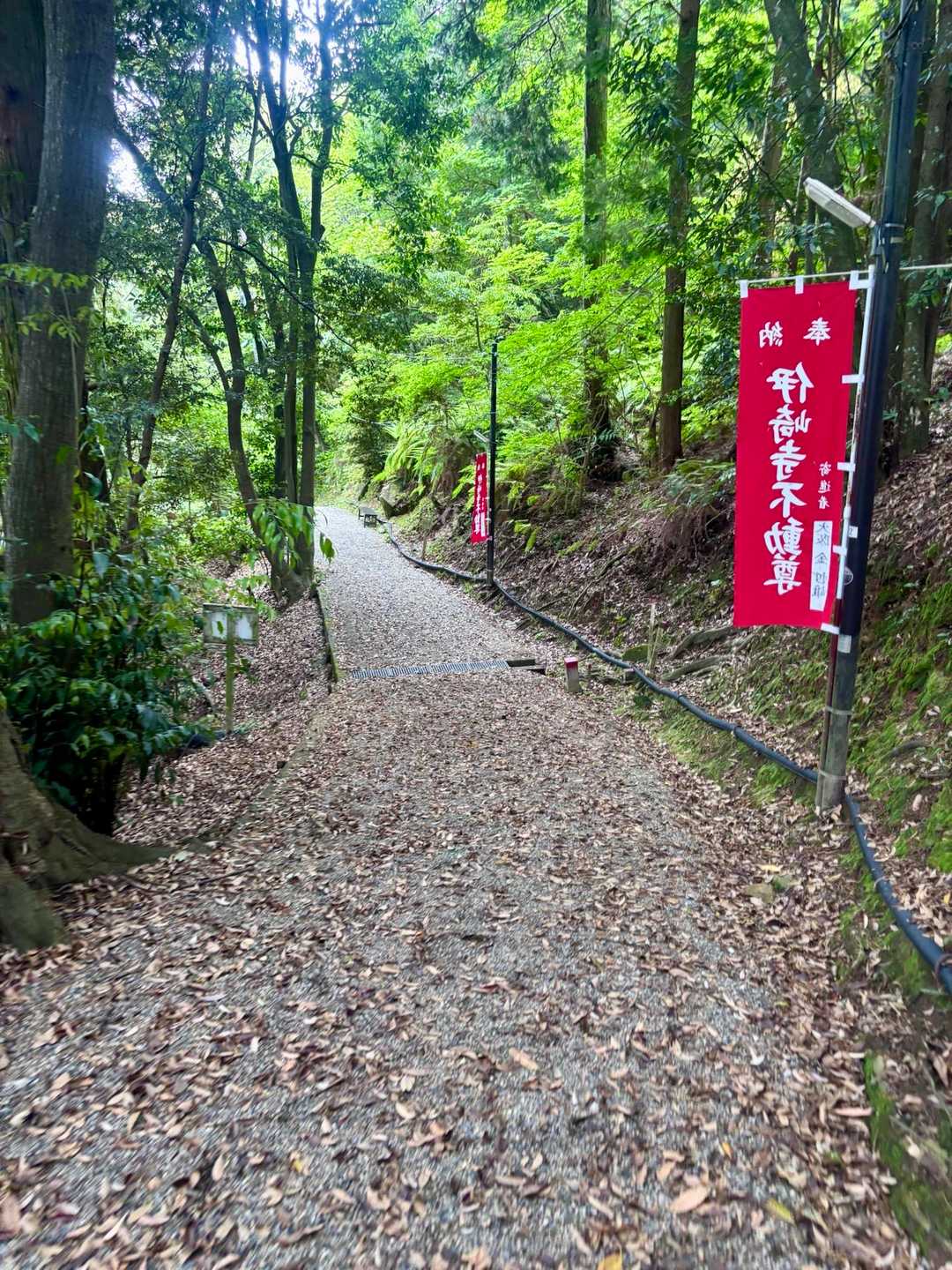 キレイな参道