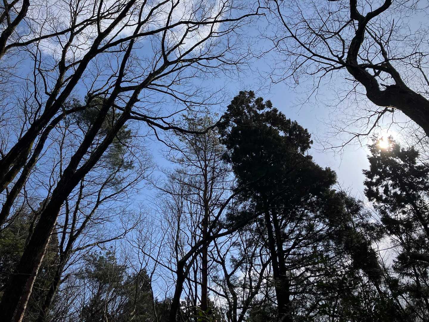時々小雨も降りましたがちょっと青空も。
嬉しいなあ😃