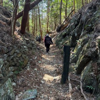 パンフなどでよく見る切り通し。
崩れないように石が積まれていたり、先人の工夫と苦労が伺える。