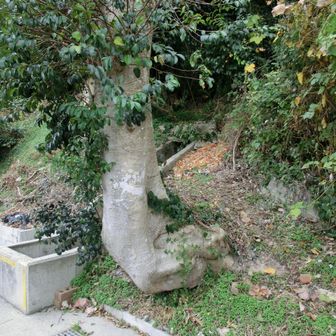 かずひろさんに見習い、ここから取り付く ↗️