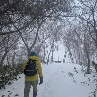 そろそろ赤坂山です