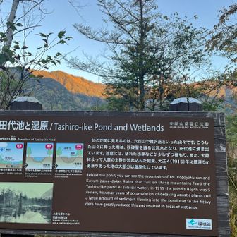 田代池と湿原