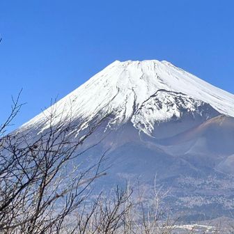ズームにしたり🤭