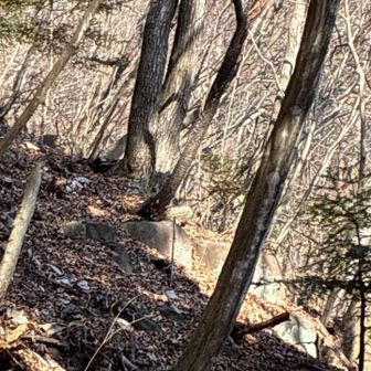 ものの数分で、影は無くなってしまいました｡｡｡