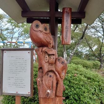 フクロウ