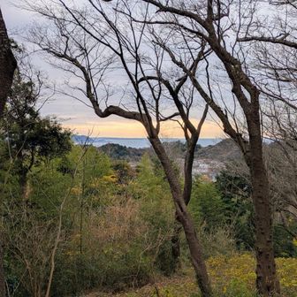 眺望はこんな感じ