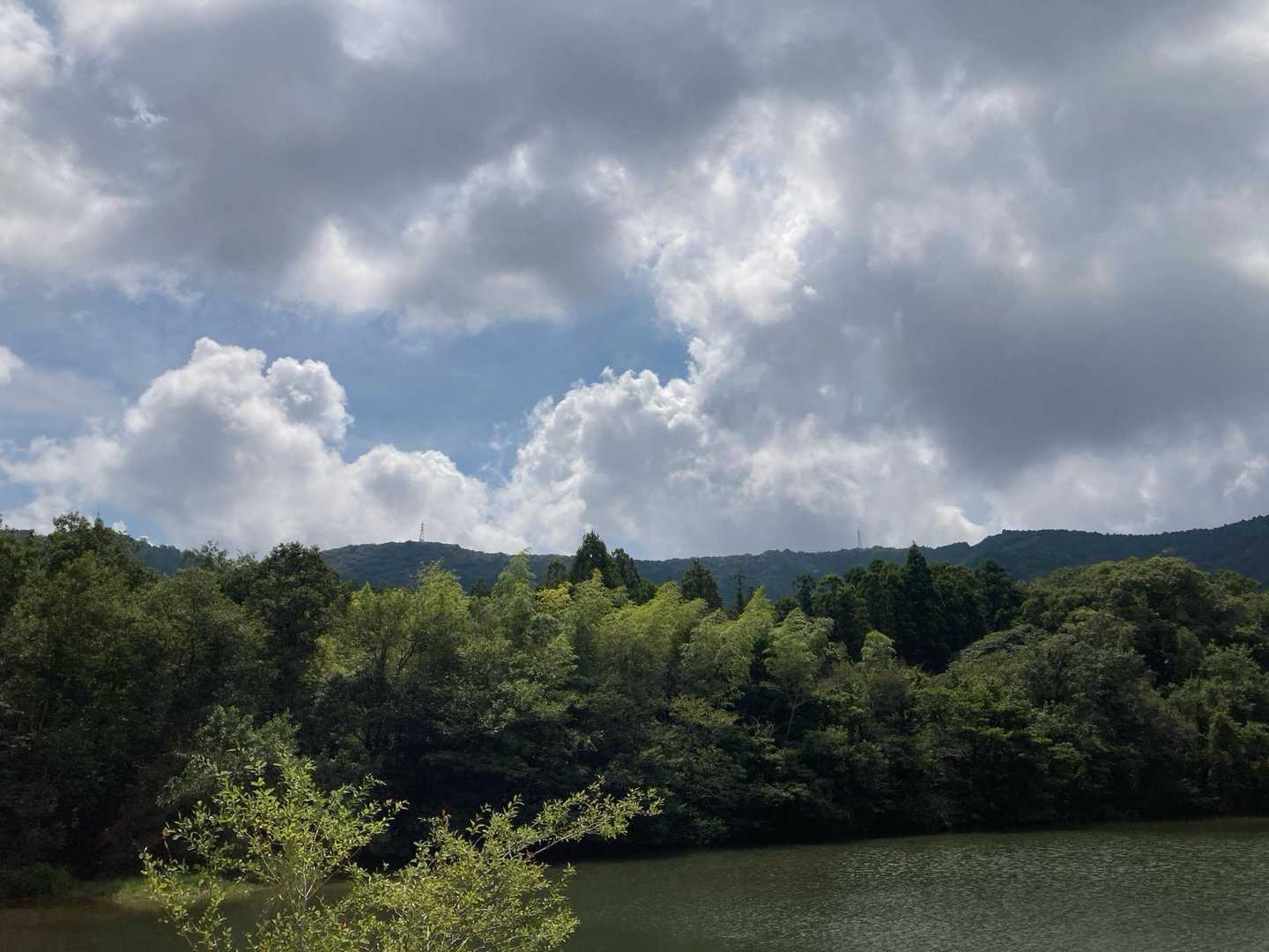 雨降る予報だけど