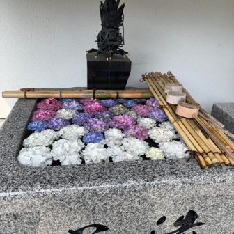 白の紫陽花をひとつ右の上に移動したい🤣