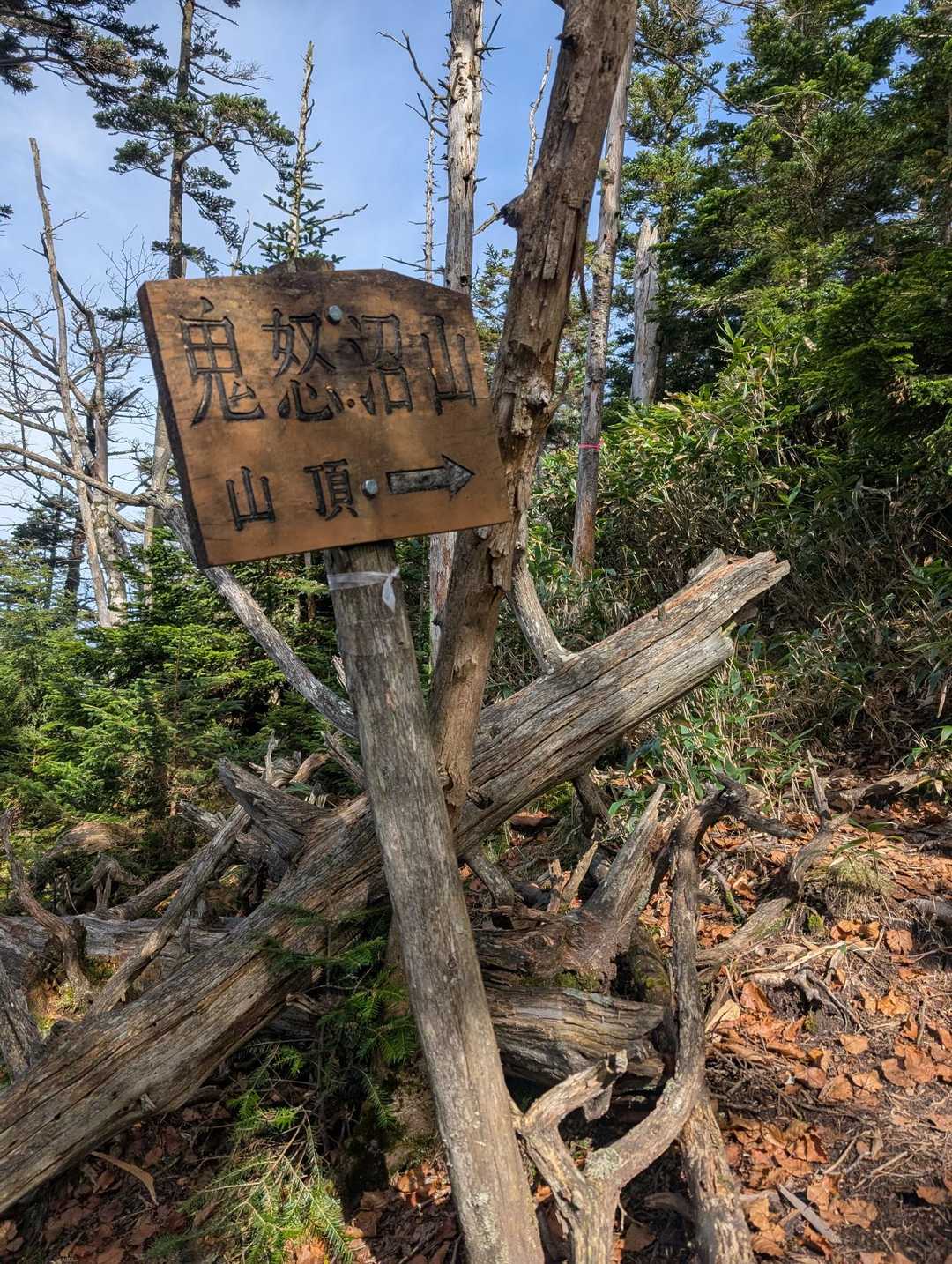 ご丁寧にありがとうございます