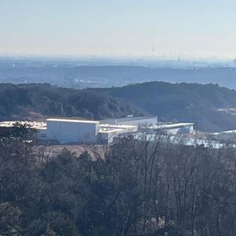 中央やや右にスカイツリーも見えてます。