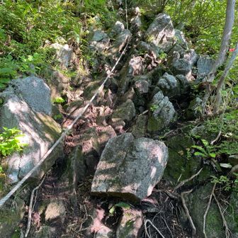 ロープ場　なかなかの急登💦