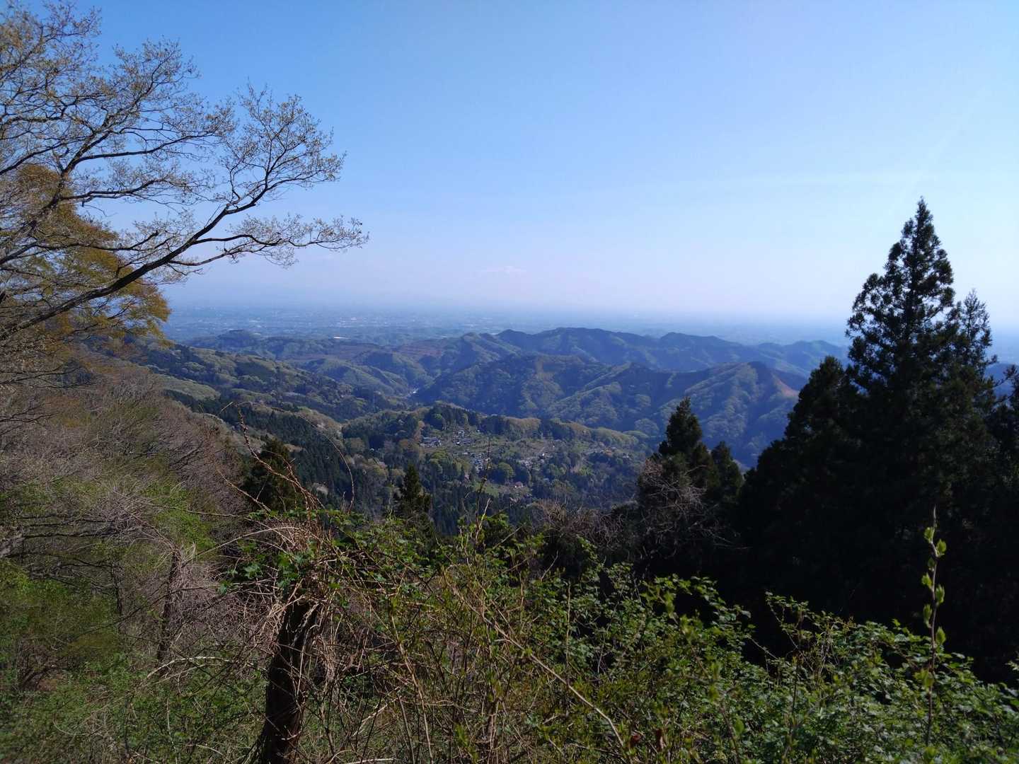 こんな時はこういう山歩きがぴったりだなぁ🐦️
山。ありがとう。