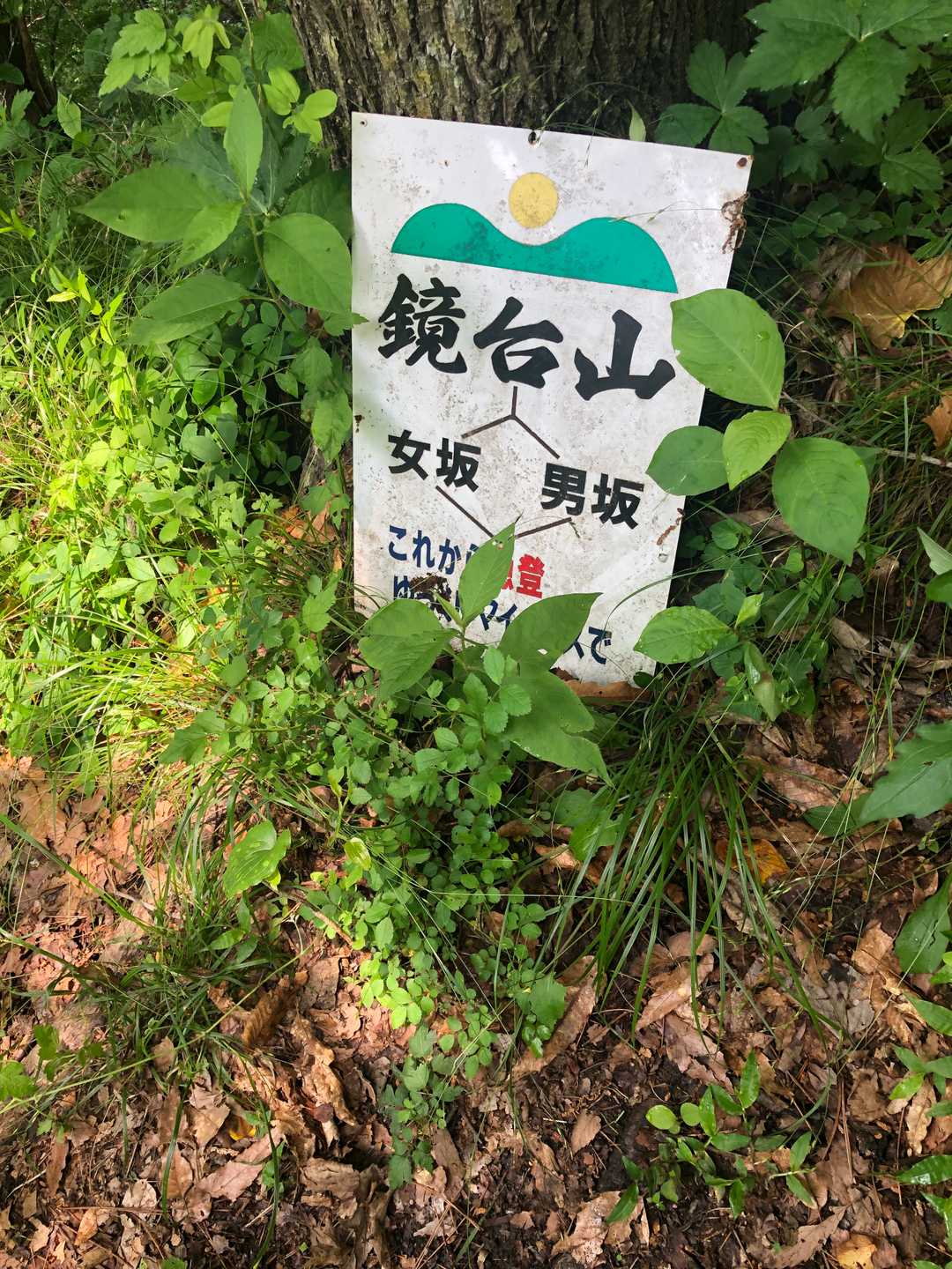 男坂しか見つかりませんでした😂