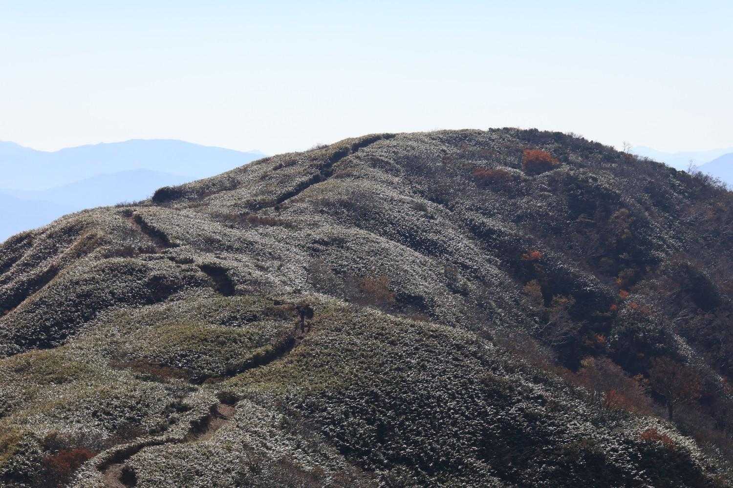 広域林道登山口-保月山-釈氏ヶ岳-中岳 往復コースの写真
