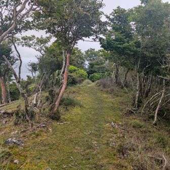 下山
