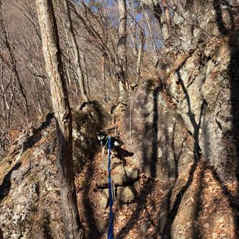 落ち葉が大好きなので愛犬も楽しそうです🐕