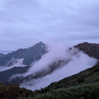 ショータイムが終わって、
この後、夜の帷が降りてきます🌠
