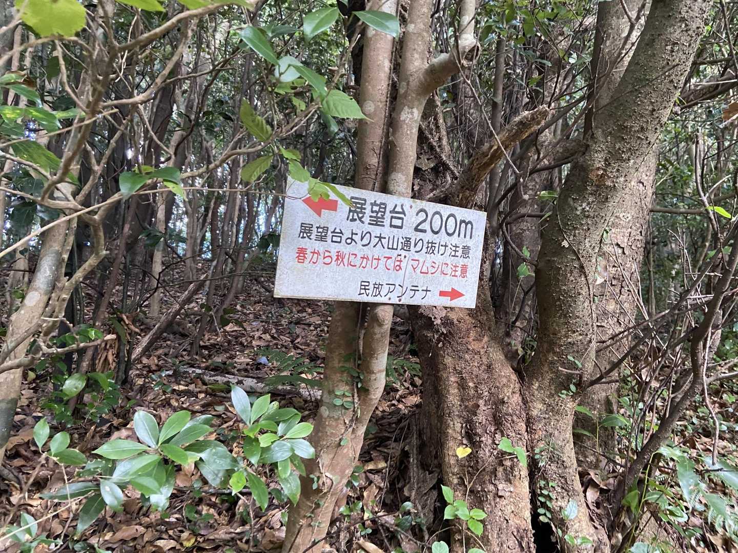 ピークがよくわからなかったのですが、どうやらこの標識の「民放アンテナ→」と書いてある方です。