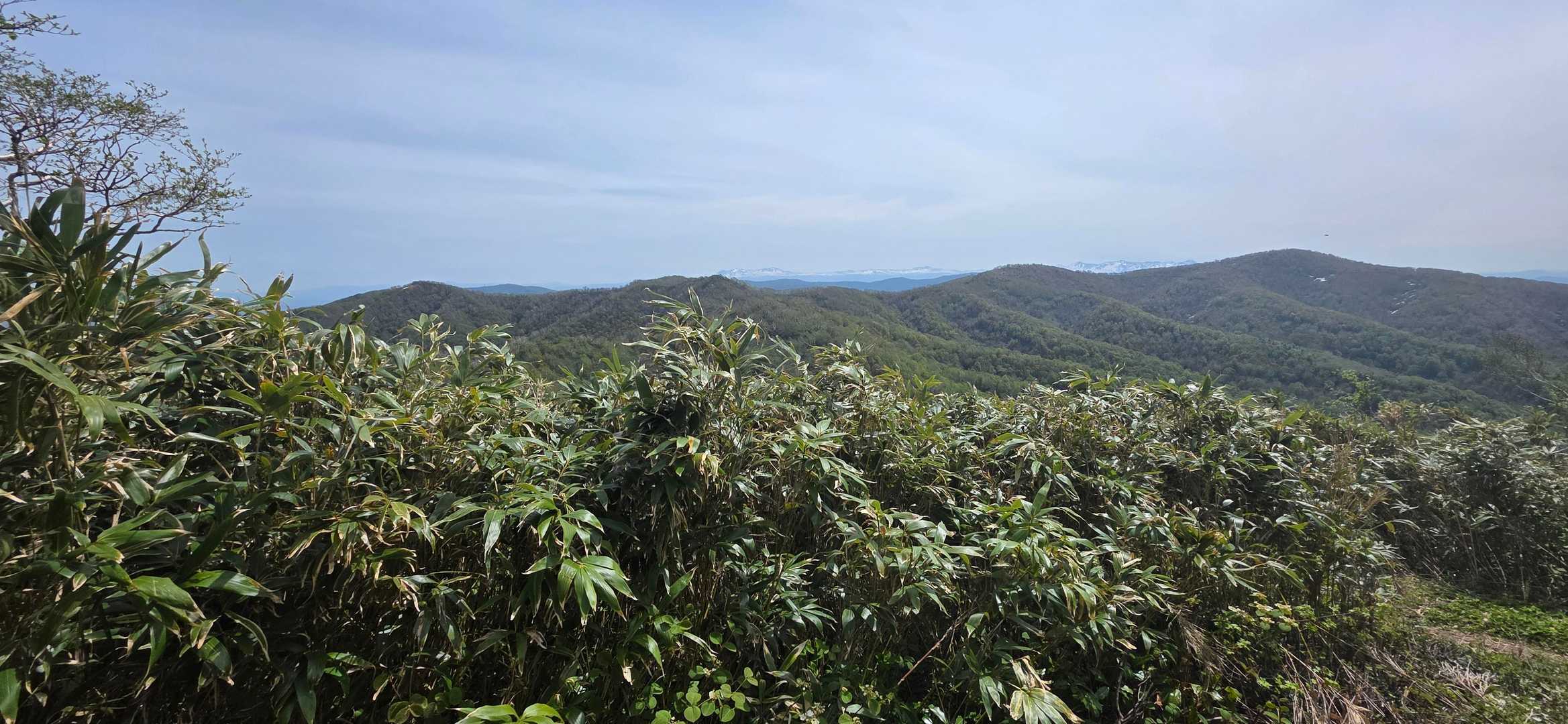 沖里河山～無名山～イルムケップ山、そして奥には