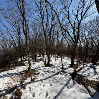 ザクザク雪に誘われて行った先は
間違ったルート😂