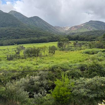 The view from the bath. Looking over the Tadewara wetlands