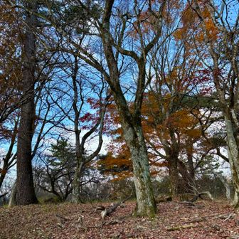 6月にヒルの猛攻を受けた櫟山
今は静かで穏やか