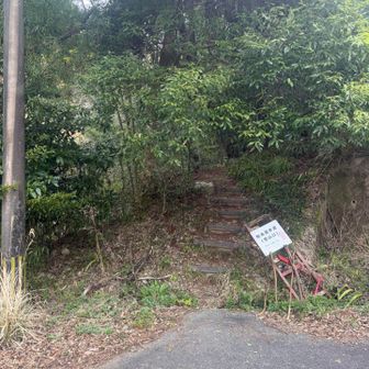 サクサク行きますよ