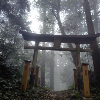 失礼します⛩️