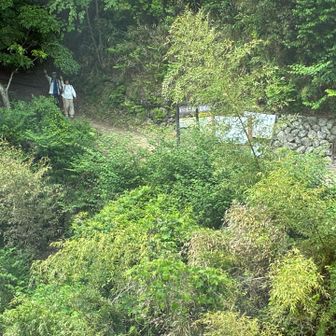 登った登山道が見える