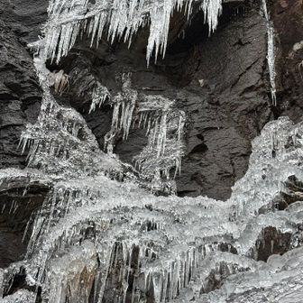 画面下は龍🐉の腕