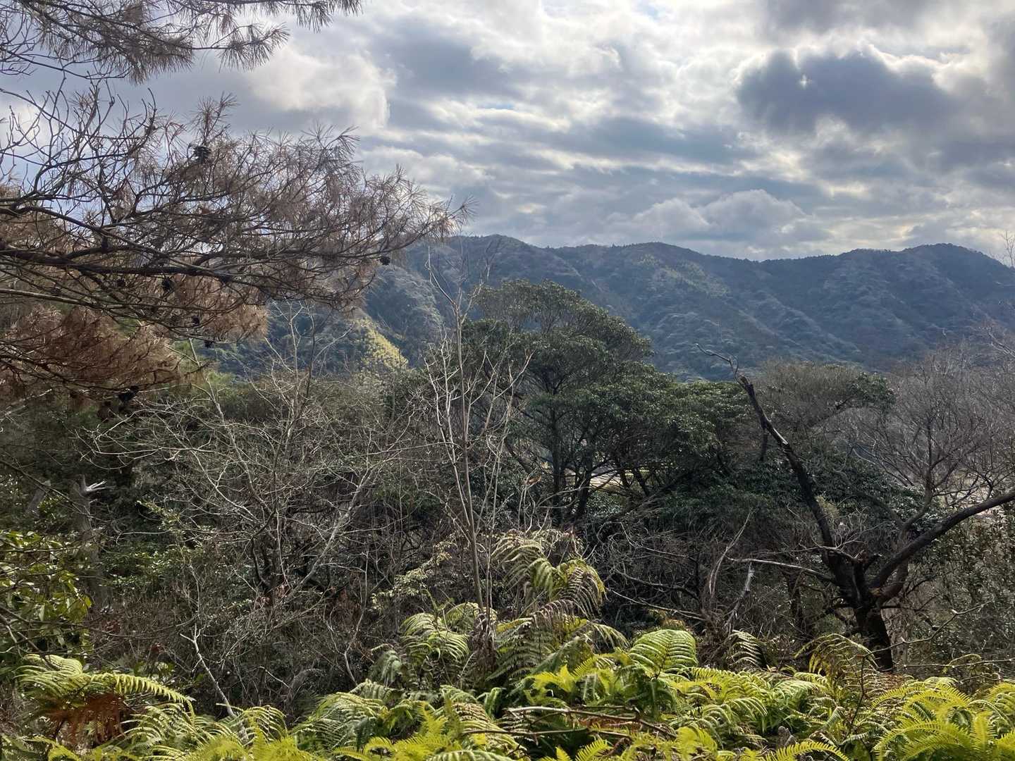 観音岳 往復コースの写真