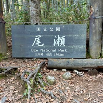 緩やかな上りだがテントを担いで上がるのはキツい．ようやく三平峠で、ここから尾瀬沼に向かい下り始める．