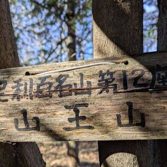 両崖山・仙人ヶ岳・石尊山 足百No12⛰️山王山