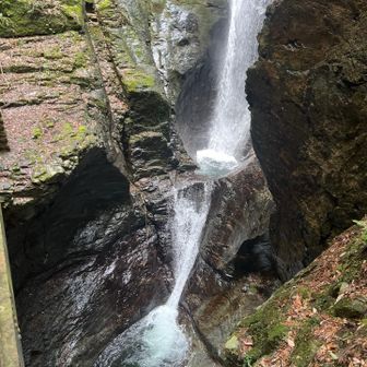 一見すべし　少し腰が引く😅