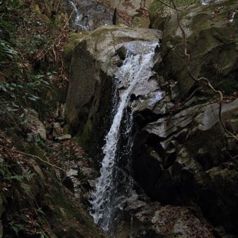 乙女滝💦でした
