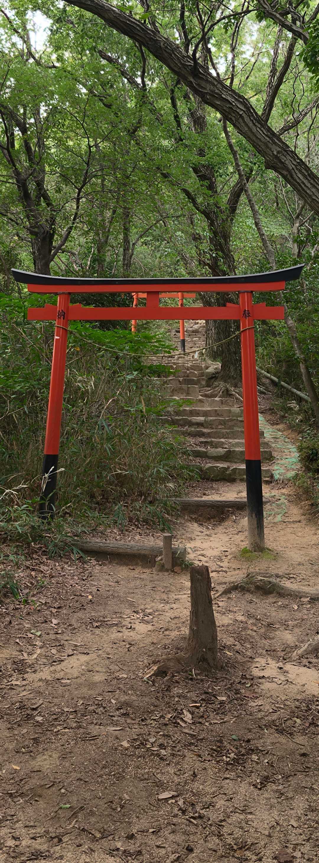 お邪魔致します。