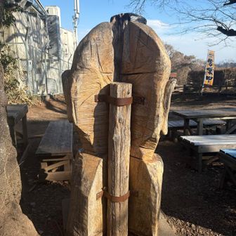 小仏城山にもどりました