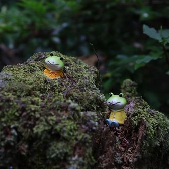 こういう、所々の仕掛けが良いですよね😊
カタクリの保存会もあるようで
きちんと整備されていました👏