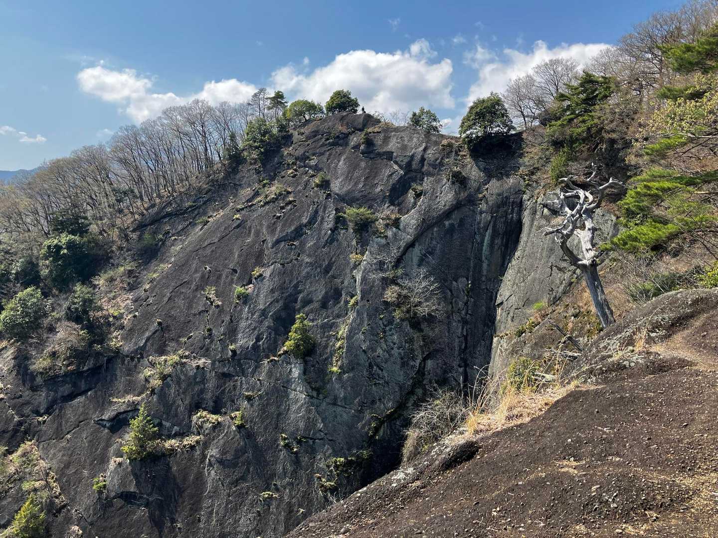 本日のメイン
稚児落とし　下から見えたやつかな？