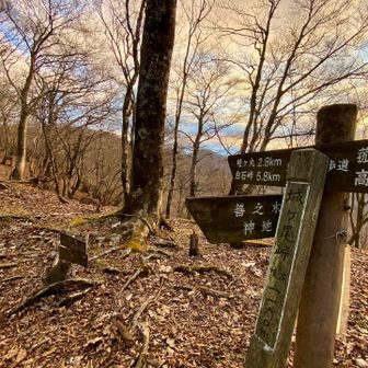 城ケ尾峠、到着