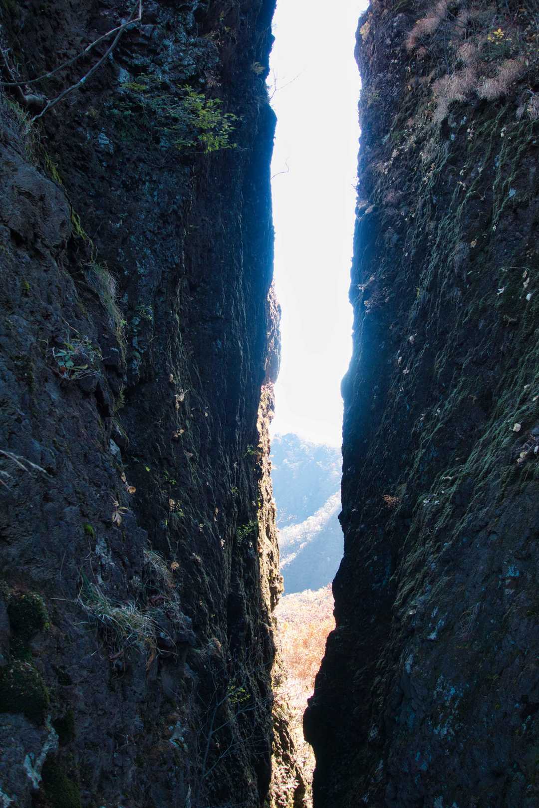 丁須の頭登山口-馬頭観音-もみじ谷-三方境-谷急山 往復コースの写真