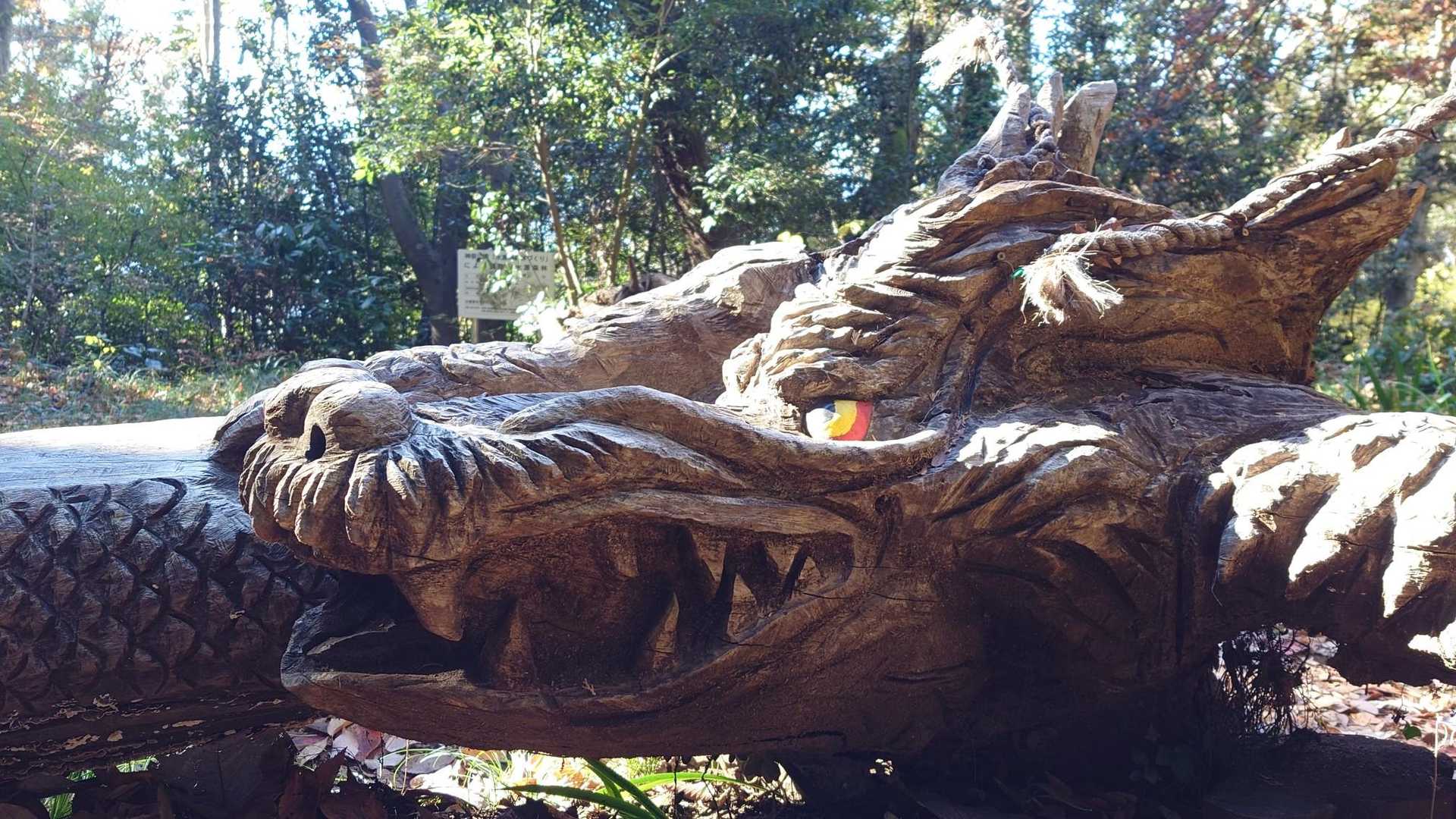 お久しぶりの龍！
昨日、録画していたNHKスペシャルで奄美の龍をやってて、面白かった！
君を思い出したよ！