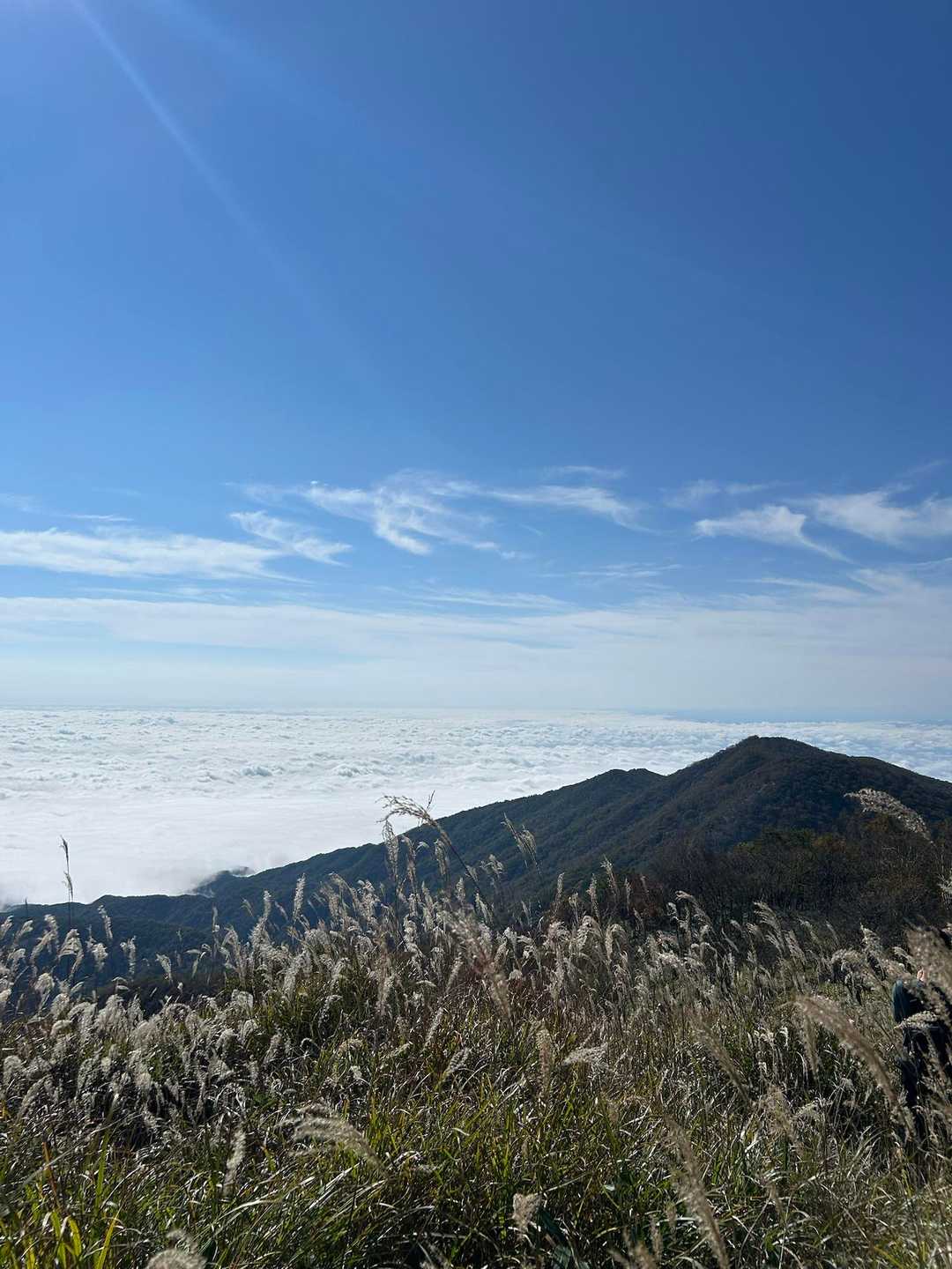 赤城駒ヶ岳登山口-駒ヶ岳-黒檜山 往復コースの写真