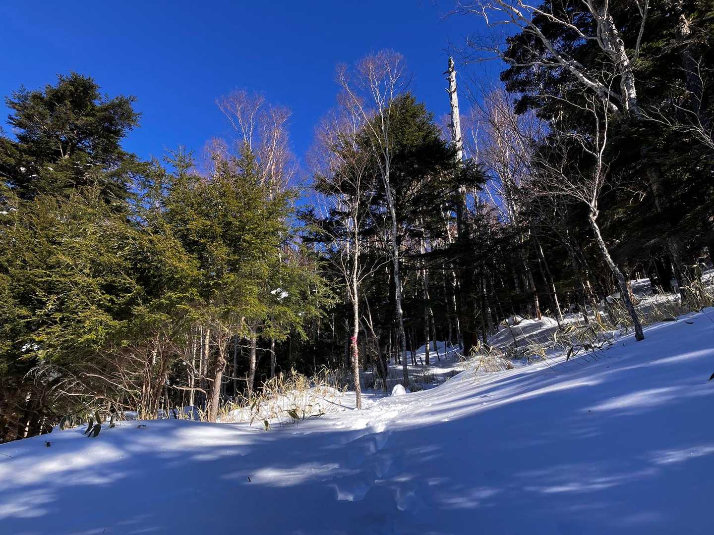 見た目以上に雪深くなかなか進みません。