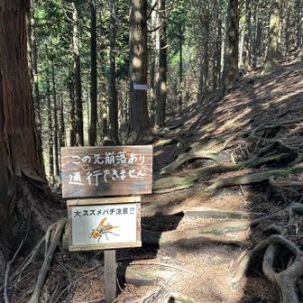 崩落のため不通です
