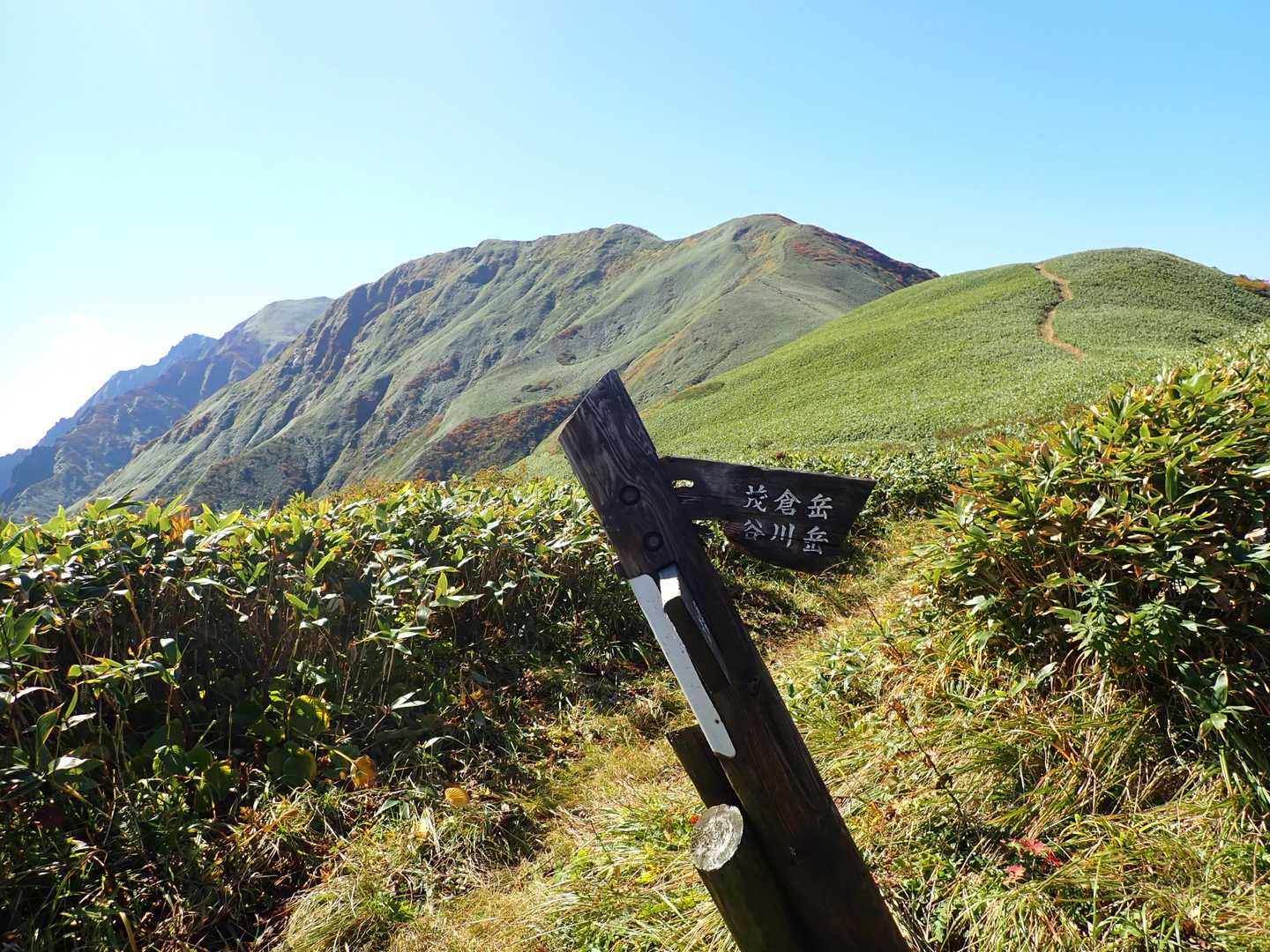 土合方面と土樽方面、谷川方面の武能岳・茂倉岳方面への分岐です。最終のエスケープ道としても使われているみたいです？