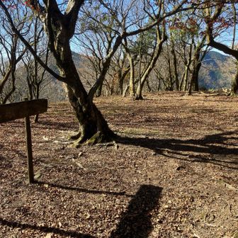 城跡はまあまあの広場です